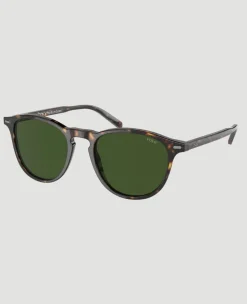 Wimbledon Polo Ralph Lauren PH4181 Shiny Dark Havana- Sunglasses