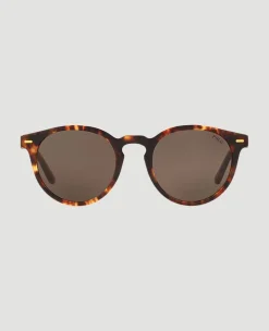 Wimbledon Polo Ralph Lauren X Shiny Havana Polo Sunglasses- Sunglasses