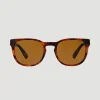 Wimbledon Polo Ralph Lauren X Tortoise Green Polo Sunglasses- Sunglasses